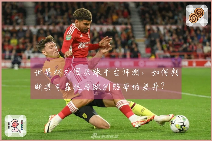 世界杯外围买球平台评测，如何判断其可靠性与欧洲赔率的差异？