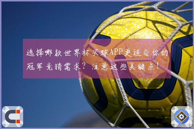选择哪款世界杯买球APP更适合你的冠军竞猜需求？注意这些关键点！