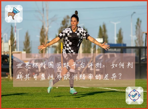 世界杯外围买球平台评测，如何判断其可靠性与欧洲赔率的差异？