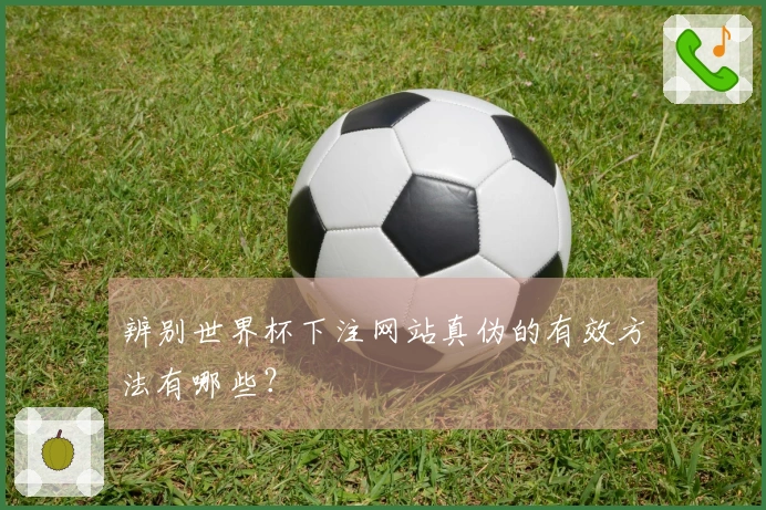 辨别世界杯下注网站真伪的有效方法有哪些？