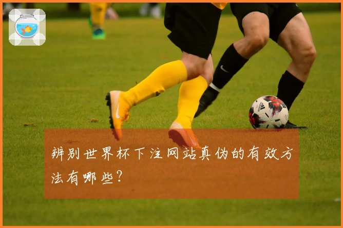 辨别世界杯下注网站真伪的有效方法有哪些？