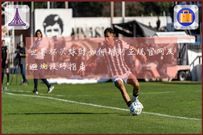 世界杯买球时如何辨别正规官网及避坑技巧指南